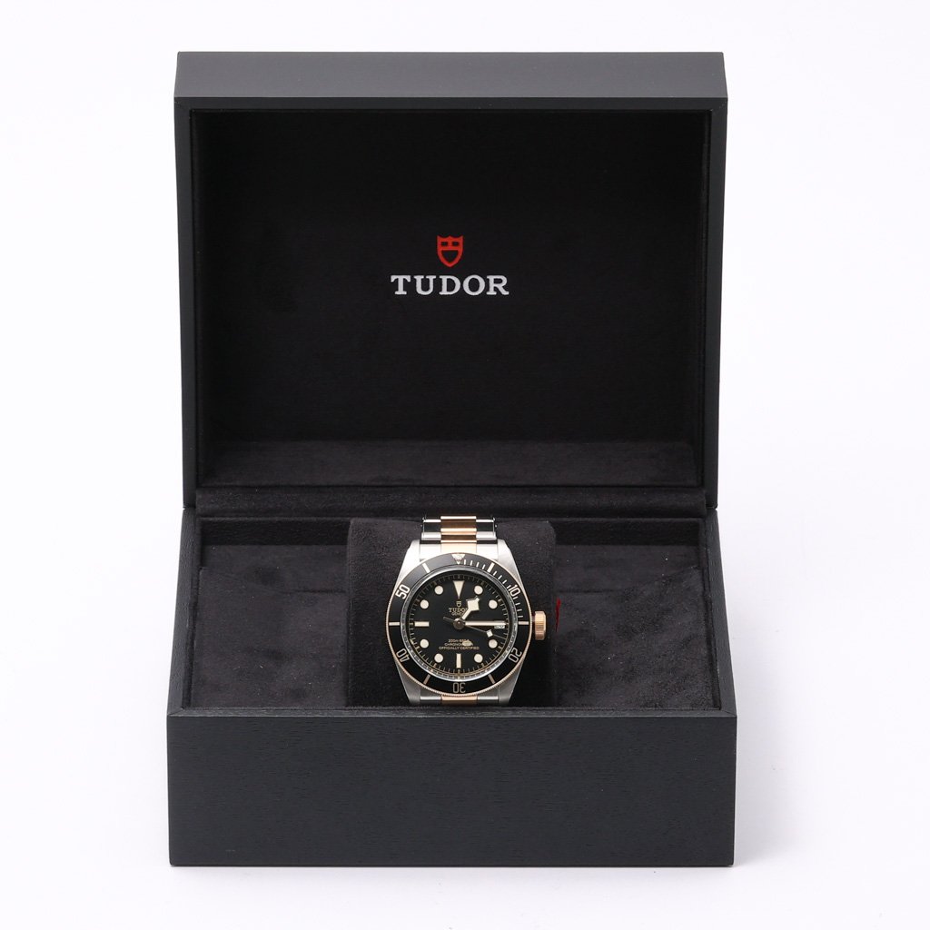 TUDOR BLACK BAY S&G - 79733N - Watch - 41mm 6a819bc4-357f-4c21-878a-6f6fba45af36.jpg