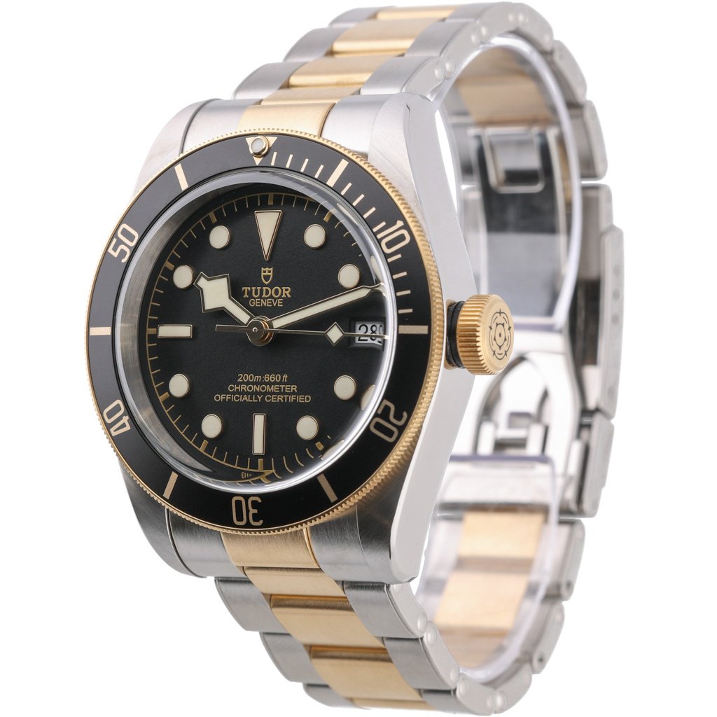 TUDOR BLACK BAY S&G - 79733N - Watch - 41mm 909e9ec5-fedd-4150-b2e9-a79238d8cefa.jpg